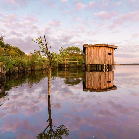 Ferienwohnung Hohner Seeblick Hohn  ภายนอก รูปภาพ